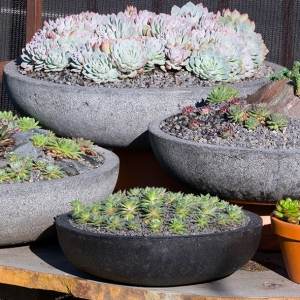 MetroLite Succulent Bowl Set 3: BlackStone