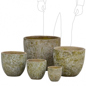 Egg Pot Set 5